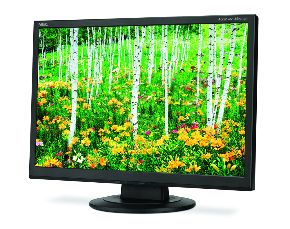 NEC 22'' E221N-BK LCD Bk/Bk (IPS; 16:9; 250cd/m2; 1000:1; 6ms, 1920x1080,178/178; VGA; HDMI; DP; HAS 110mm; Swiv; Tilt; Spk 2x1W)