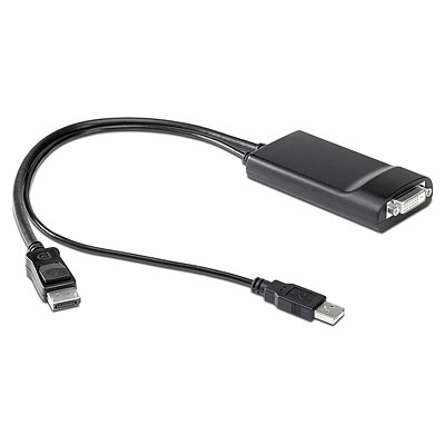 HP DisplayPort to Dual Link DVI-D