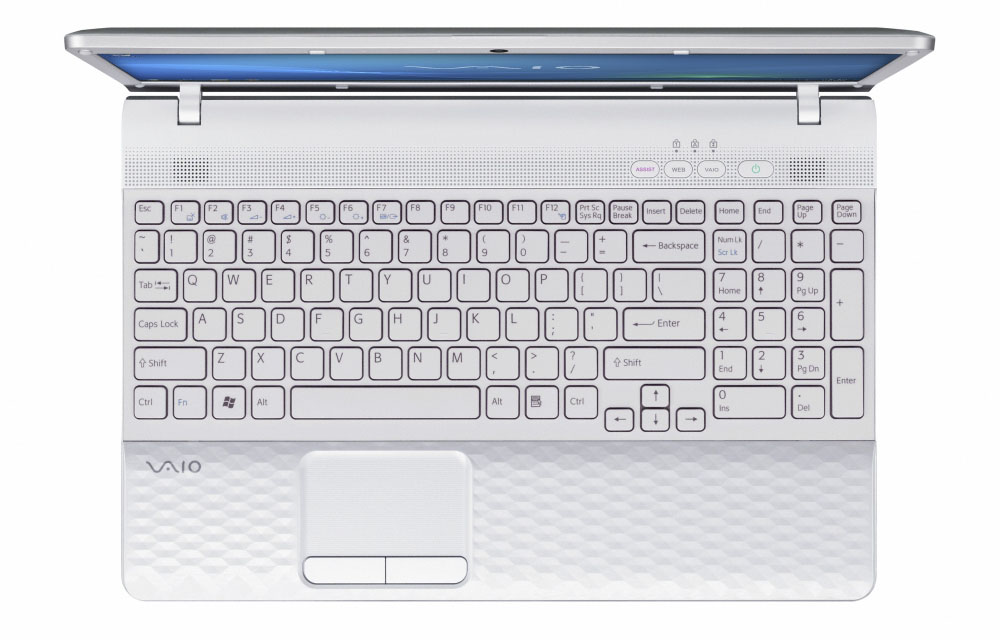    Sony VAIO EJ1E1R/W   Pentium B490 (2.0), 17.3  HD+ (1600*900), 4GB (1), 500GB, DVDRW, WiFi, BT, camera, HDMI&VGA, W7HB 64, 3.1kg, White