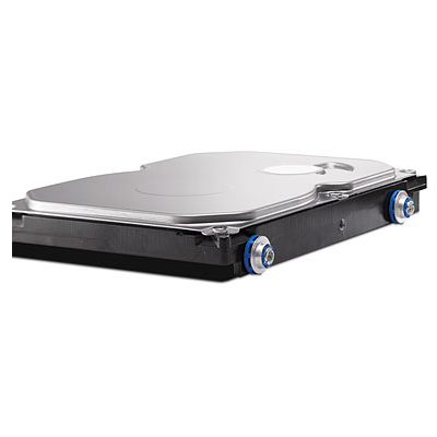   HP 1-TB SATA 3.0-Gb/s Hard Drive(for 6000Pro, 6005Pro,8000Elite CMT and SFF)